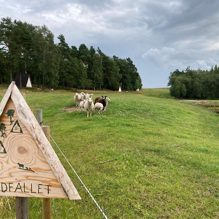Sandfallet Glamping ลาโฮล์ม ภายนอก รูปภาพ