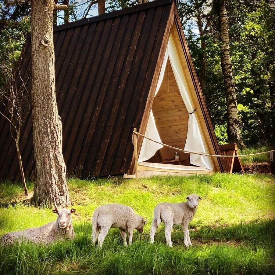 Sandfallet Glamping ลาโฮล์ม ภายนอก รูปภาพ